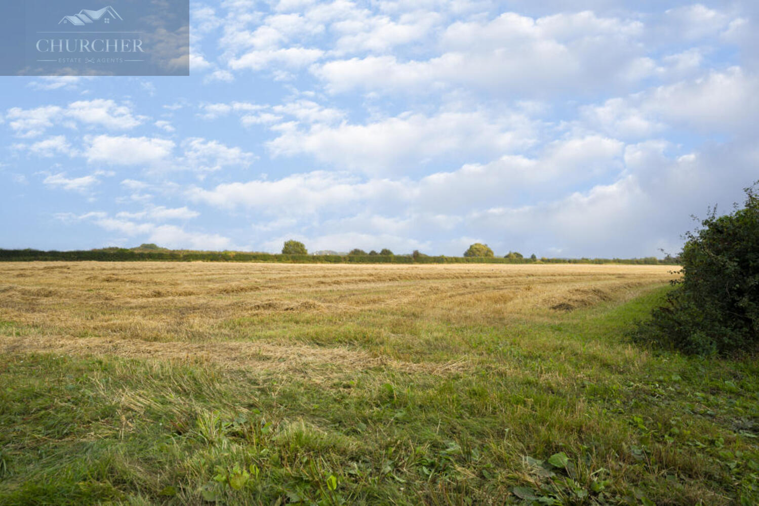 238523_3LAVENDARBARN_IMG_21_0001